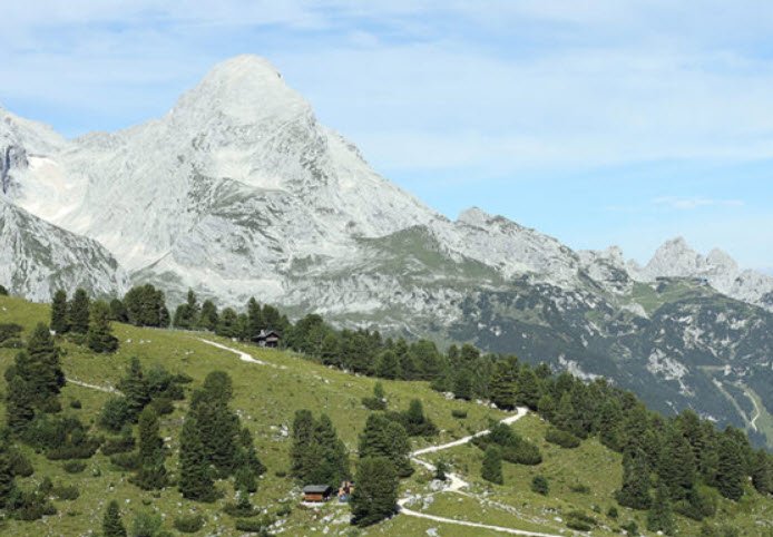 Alpengarten auf dem Schachen, Germany